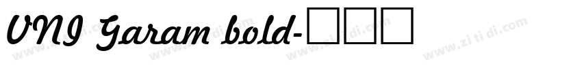 VNI Garam bold字体转换